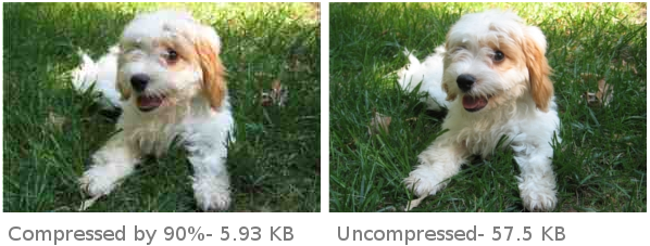 Image Compressed by 90%- 5.93 KB vs Image Uncompressed- 57.5 KB